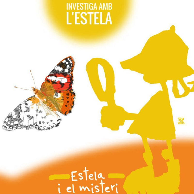 Estela i el misteri de la papallona dels cards