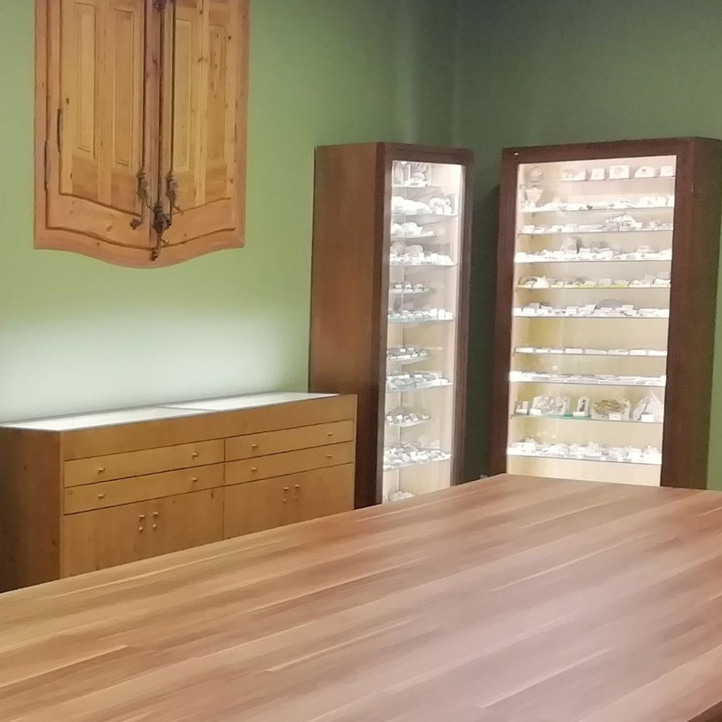 Sala de paleontologia de Joan Maria Viader