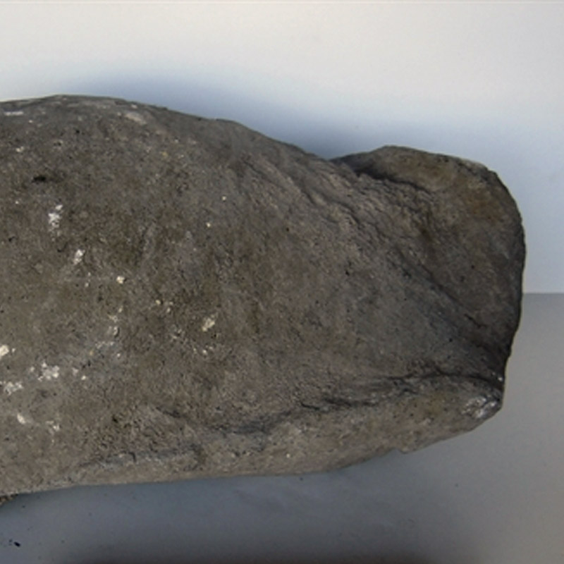 Una bomba volcànica de la Garrotxa
