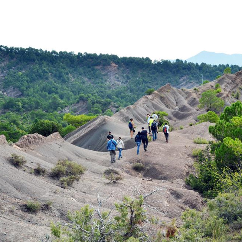 Visita guiada Dinosfera ous de dinosaure
