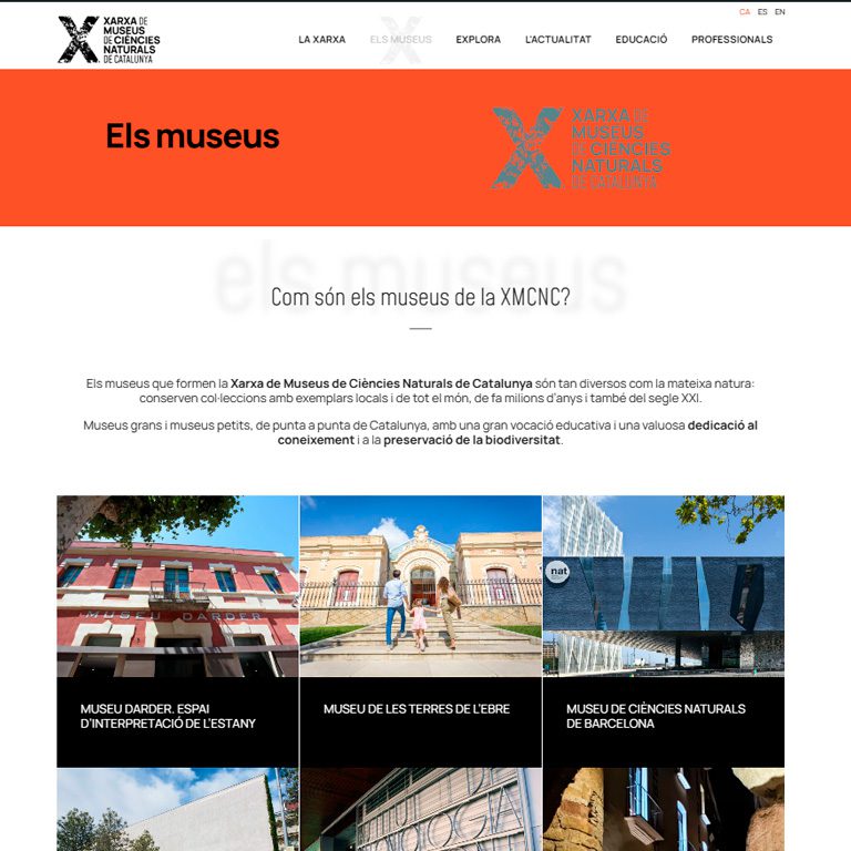 Web XMCNC